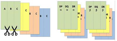 Active Learning and Technology Approaches for Teaching Immunology to Undergraduate Students